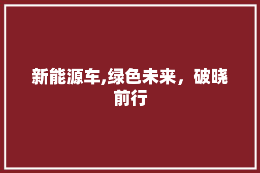 新能源车,绿色未来，破晓前行