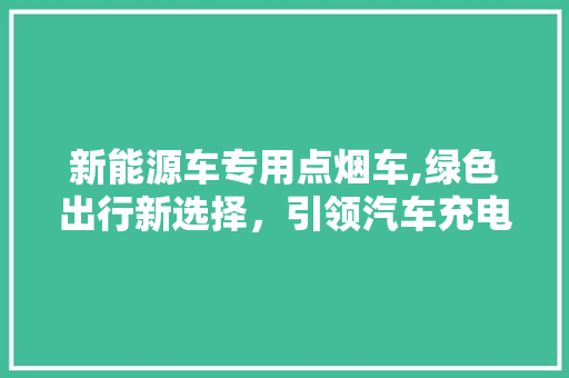 新能源车专用点烟车,绿色出行新选择，引领汽车充电革命