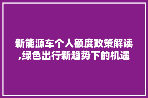 新能源车个人额度政策解读,绿色出行新趋势下的机遇与挑战  第1张