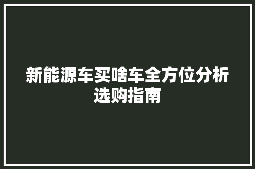 新能源车买啥车全方位分析选购指南