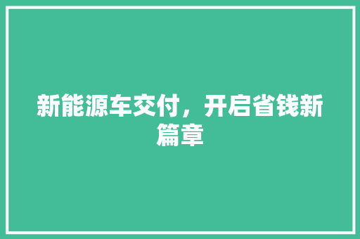 新能源车交付，开启省钱新篇章  第1张