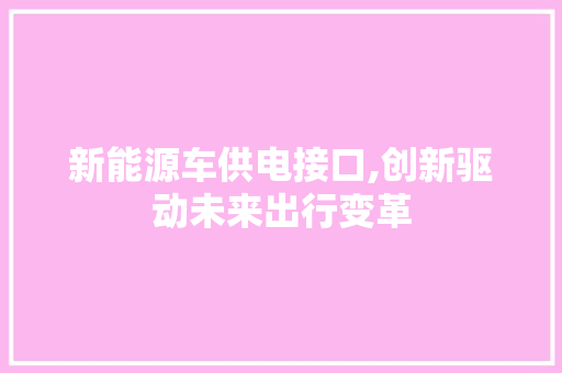新能源车供电接口,创新驱动未来出行变革  第1张