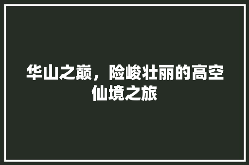 华山之巅，险峻壮丽的高空仙境之旅  第1张