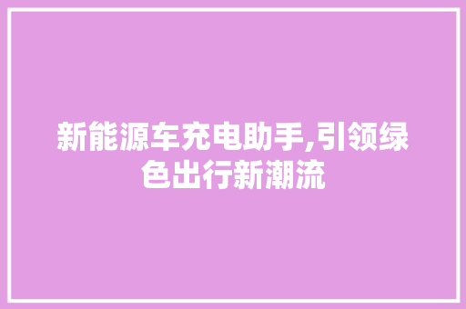 新能源车充电助手,引领绿色出行新潮流