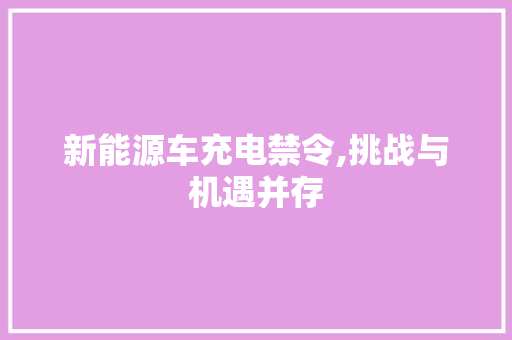 新能源车充电禁令,挑战与机遇并存