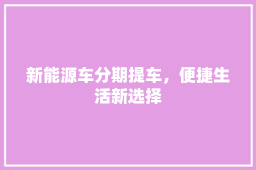 新能源车分期提车，便捷生活新选择