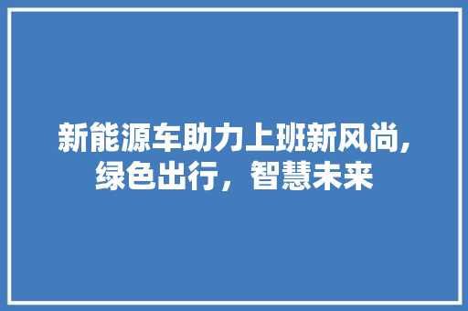 新能源车助力上班新风尚,绿色出行，智慧未来  第1张