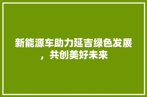新能源车助力延吉绿色发展，共创美好未来