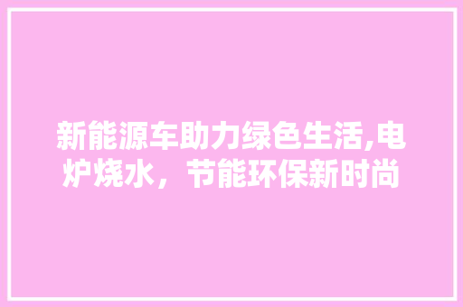 新能源车助力绿色生活,电炉烧水，节能环保新时尚