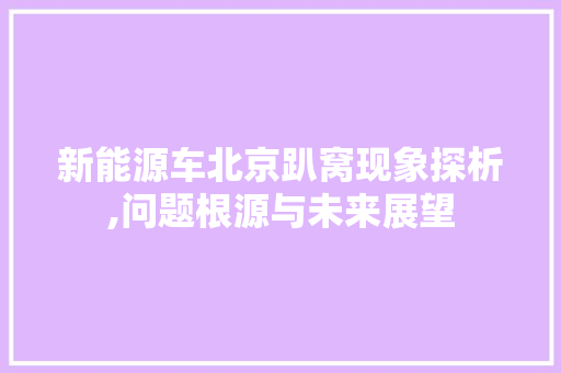 新能源车北京趴窝现象探析,问题根源与未来展望