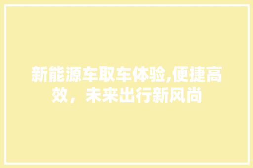 新能源车取车体验,便捷高效，未来出行新风尚