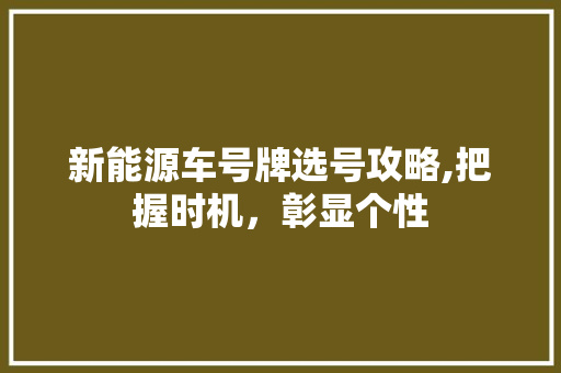 新能源车号牌选号攻略,把握时机，彰显个性  第1张