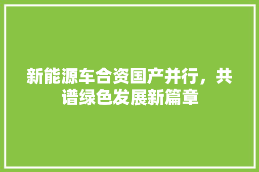 新能源车合资国产并行，共谱绿色发展新篇章  第1张