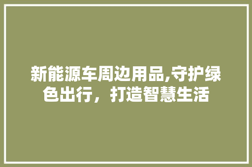 新能源车周边用品,守护绿色出行，打造智慧生活  第1张