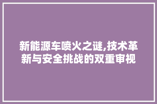 新能源车喷火之谜,技术革新与安全挑战的双重审视