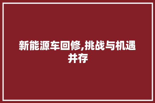 新能源车回修,挑战与机遇并存  第1张