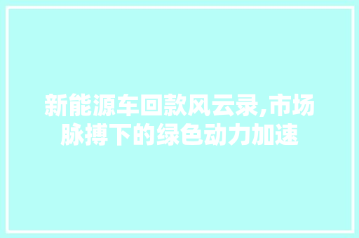新能源车回款风云录,市场脉搏下的绿色动力加速  第1张