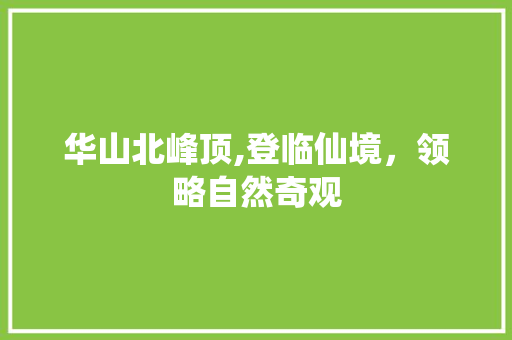 华山北峰顶,登临仙境，领略自然奇观