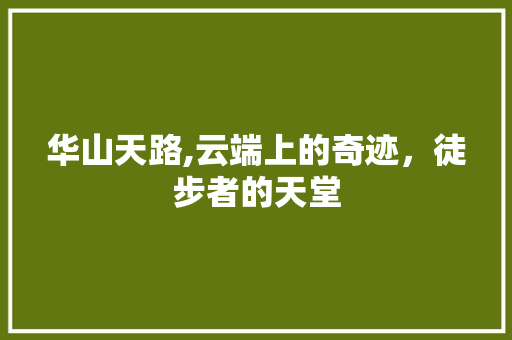华山天路,云端上的奇迹，徒步者的天堂
