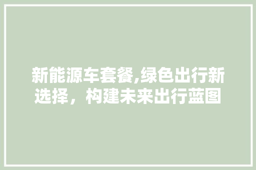 新能源车套餐,绿色出行新选择，构建未来出行蓝图  第1张