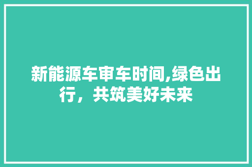 新能源车审车时间,绿色出行，共筑美好未来