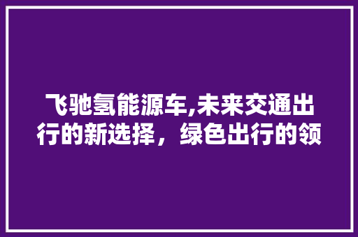 飞驰氢能源车,未来交通出行的新选择，绿色出行的领跑者  第1张