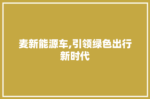 麦新能源车,引领绿色出行新时代