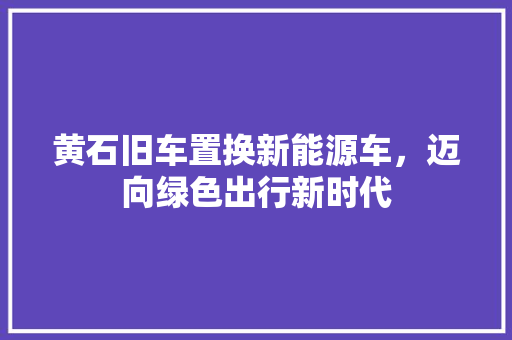 黄石旧车置换新能源车，迈向绿色出行新时代  第1张
