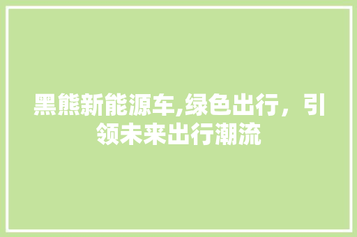 黑熊新能源车,绿色出行，引领未来出行潮流  第1张