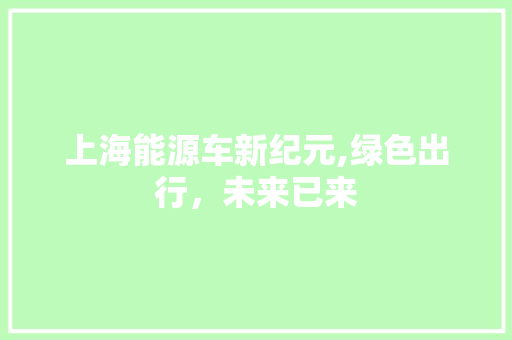 上海能源车新纪元,绿色出行，未来已来  第1张