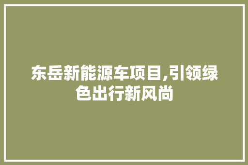 东岳新能源车项目,引领绿色出行新风尚