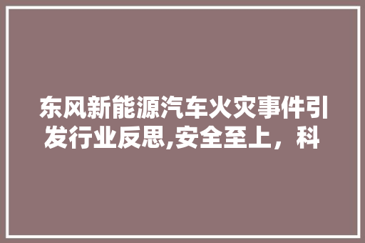 东风新能源汽车火灾事件引发行业反思,安全至上，科技创新助力绿色出行