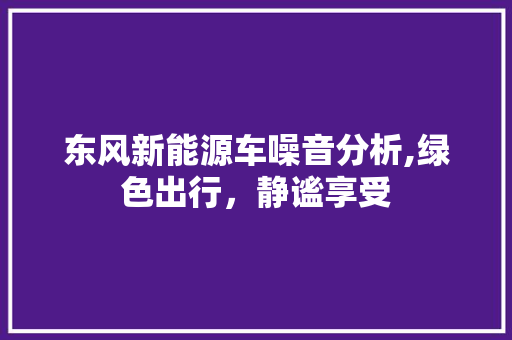 东风新能源车噪音分析,绿色出行，静谧享受