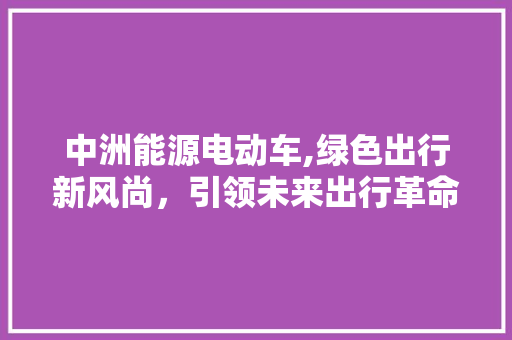 中洲能源电动车,绿色出行新风尚，引领未来出行革命  第1张