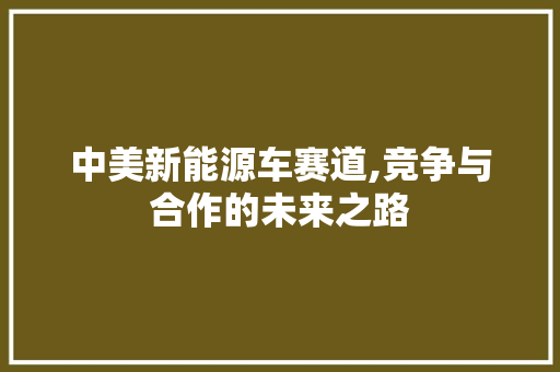 中美新能源车赛道,竞争与合作的未来之路  第1张