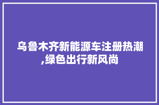 乌鲁木齐新能源车注册热潮,绿色出行新风尚  第1张