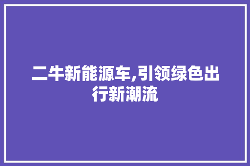 二牛新能源车,引领绿色出行新潮流  第1张