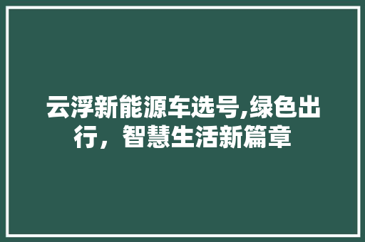 云浮新能源车选号,绿色出行，智慧生活新篇章  第1张