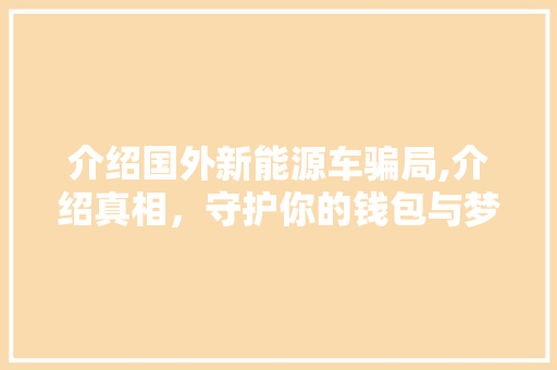 介绍国外新能源车骗局,介绍真相，守护你的钱包与梦想  第1张