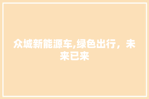众城新能源车,绿色出行，未来已来