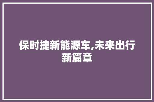 保时捷新能源车,未来出行新篇章