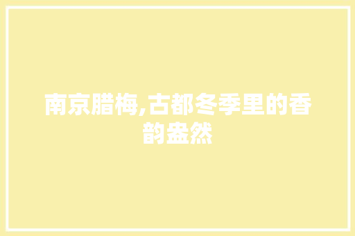 南京腊梅,古都冬季里的香韵盎然