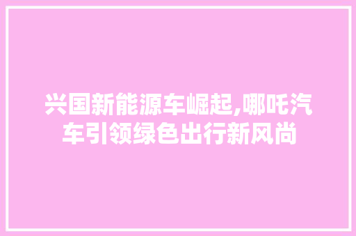 兴国新能源车崛起,哪吒汽车引领绿色出行新风尚  第1张