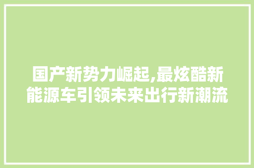 国产新势力崛起,最炫酷新能源车引领未来出行新潮流