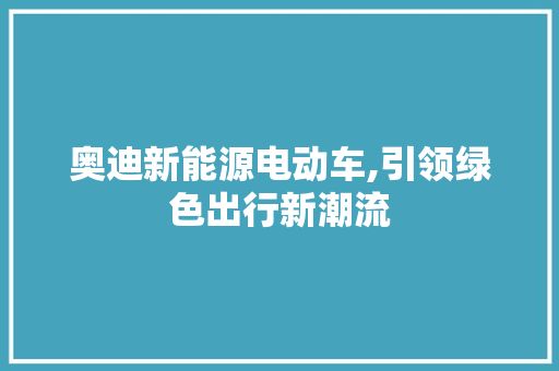 奥迪新能源电动车,引领绿色出行新潮流