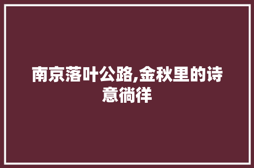 南京落叶公路,金秋里的诗意徜徉