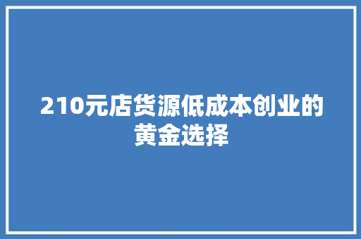 210元店货源低成本创业的黄金选择