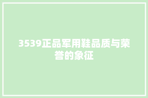 3539正品军用鞋品质与荣誉的象征