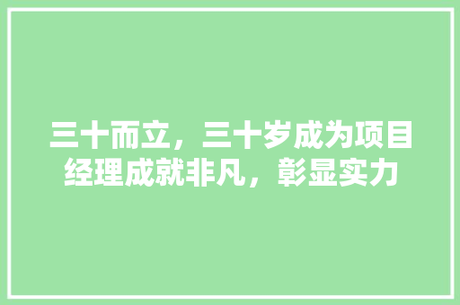 三十而立，三十岁成为项目经理成就非凡，彰显实力