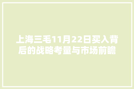 上海三毛11月22日买入背后的战略考量与市场前瞻